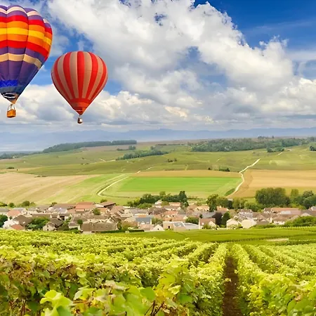 דירה Le Petillant, Gare Centre-ville, Netflix, Wifi ריימס